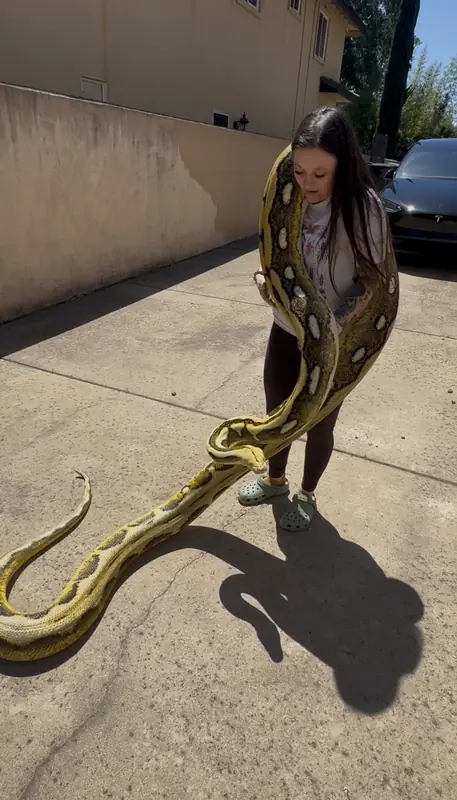 Jasmyn with a reticulated python