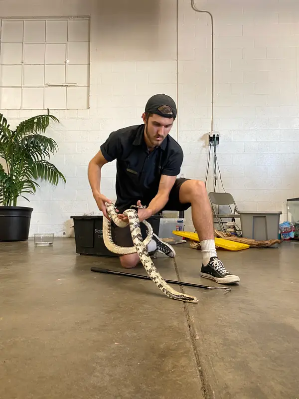 Tyler on the shop floor with a snake