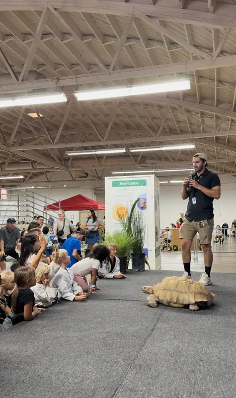 Tyler teaching at a reptile show with a sulcata tortoise